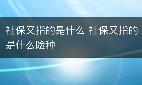 社保又指的是什么 社保又指的是什么险种