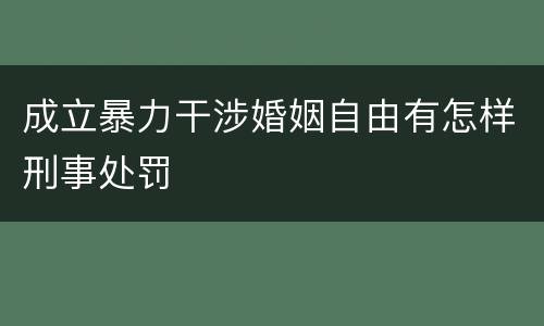 成立暴力干涉婚姻自由有怎样刑事处罚