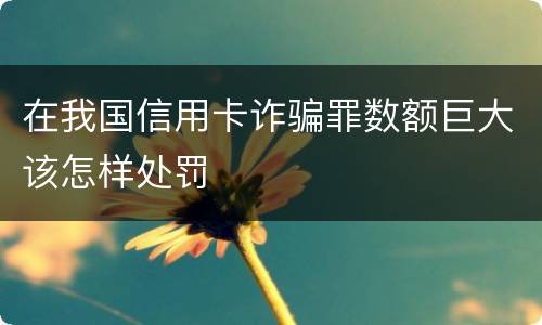 在我国信用卡诈骗罪数额巨大该怎样处罚
