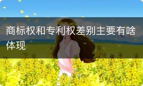 商标权和专利权差别主要有啥体现