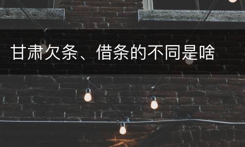 甘肃欠条、借条的不同是啥