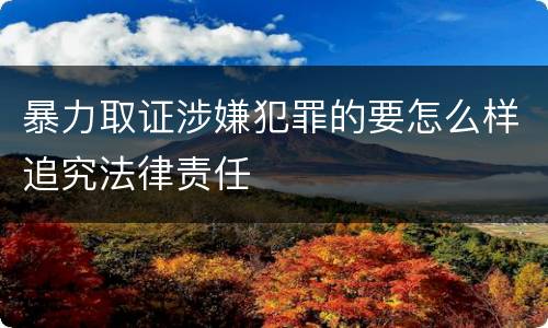 暴力取证涉嫌犯罪的要怎么样追究法律责任