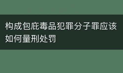 构成包庇毒品犯罪分子罪应该如何量刑处罚