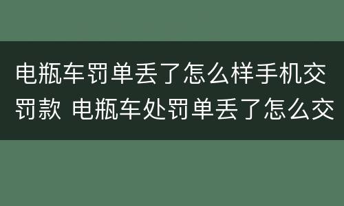 电瓶车罚单丢了怎么样手机交罚款 电瓶车处罚单丢了怎么交罚款