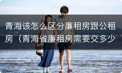 青海该怎么区分廉租房跟公租房（青海省廉租房需要交多少钱）