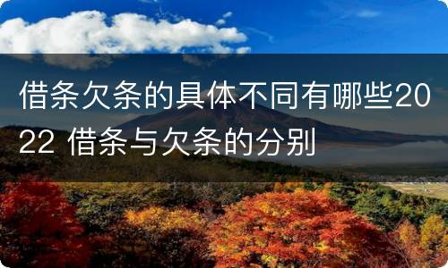 借条欠条的具体不同有哪些2022 借条与欠条的分别