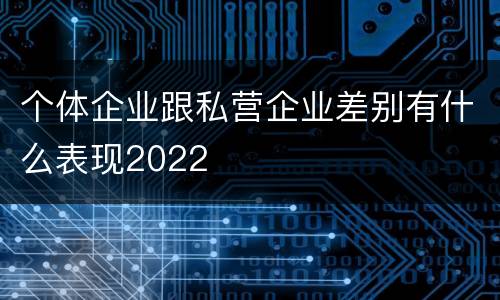 个体企业跟私营企业差别有什么表现2022