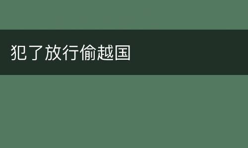 犯了放行偷越国