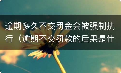 逾期多久不交罚金会被强制执行（逾期不交罚款的后果是什么）