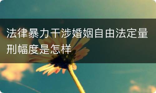 法律暴力干涉婚姻自由法定量刑幅度是怎样