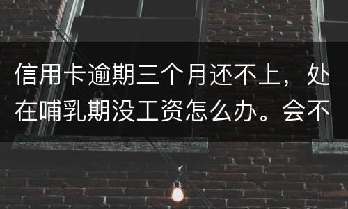 信用卡逾期三个月还不上，处在哺乳期没工资怎么办。会不会被起诉，会不会被坐牢啊