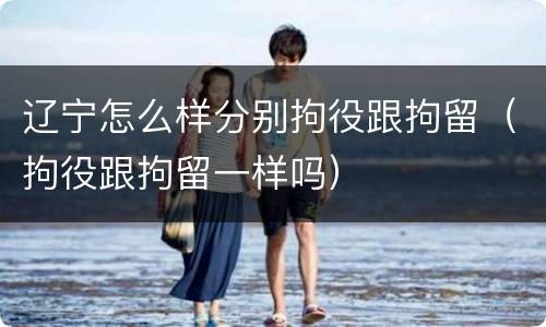 辽宁怎么样分别拘役跟拘留（拘役跟拘留一样吗）