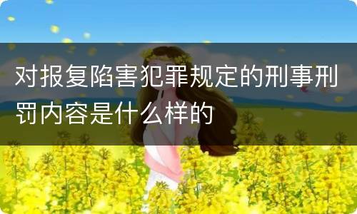 对报复陷害犯罪规定的刑事刑罚内容是什么样的