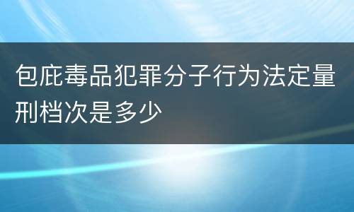 包庇毒品犯罪分子行为法定量刑档次是多少