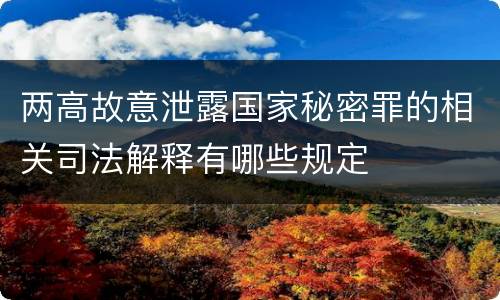 两高故意泄露国家秘密罪的相关司法解释有哪些规定