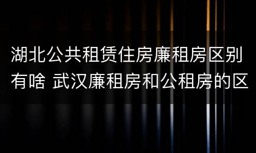 湖北公共租赁住房廉租房区别有啥 武汉廉租房和公租房的区别