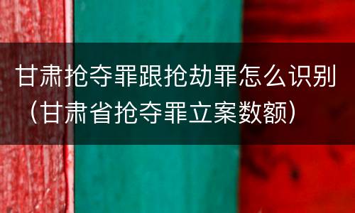 甘肃抢夺罪跟抢劫罪怎么识别（甘肃省抢夺罪立案数额）