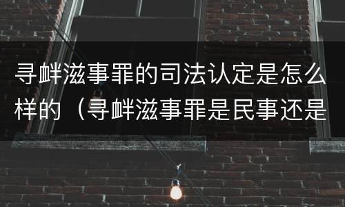 寻衅滋事罪的司法认定是怎么样的（寻衅滋事罪是民事还是刑事）
