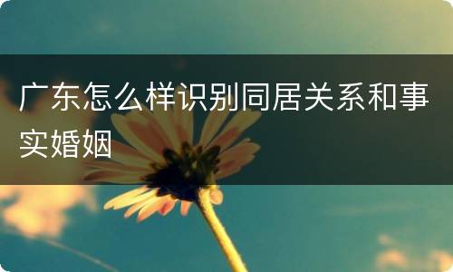广东怎么样识别同居关系和事实婚姻
