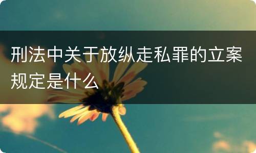 刑法中关于放纵走私罪的立案规定是什么