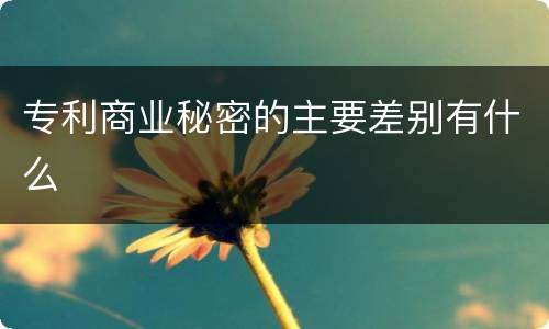 专利商业秘密的主要差别有什么