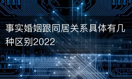 事实婚姻跟同居关系具体有几种区别2022