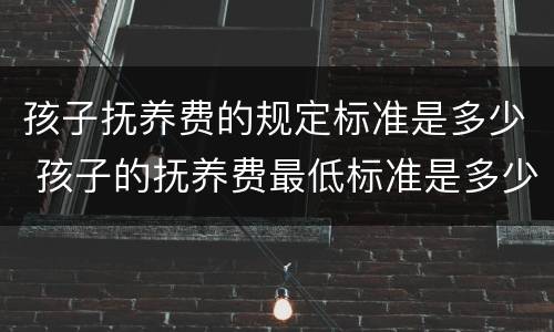 孩子抚养费的规定标准是多少 孩子的抚养费最低标准是多少
