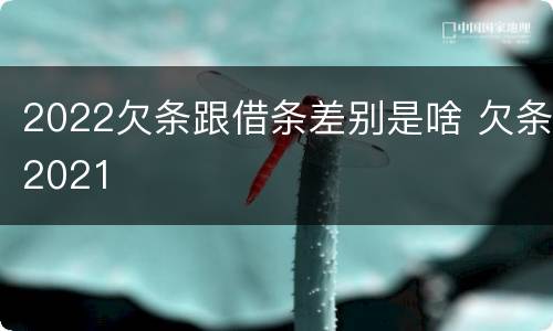 2022欠条跟借条差别是啥 欠条2021