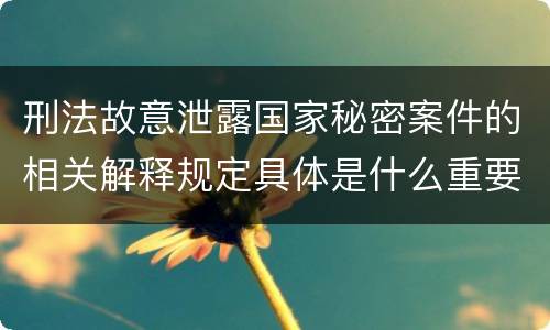 刑法故意泄露国家秘密案件的相关解释规定具体是什么重要内容