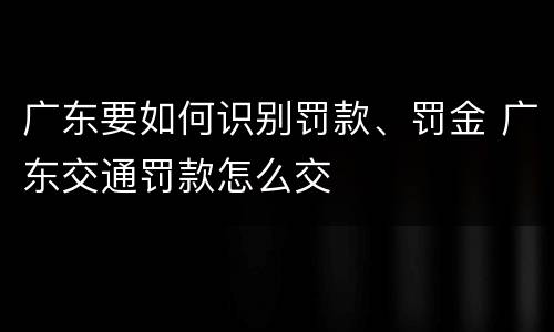 广东要如何识别罚款、罚金 广东交通罚款怎么交