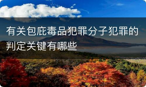 有关包庇毒品犯罪分子犯罪的判定关键有哪些