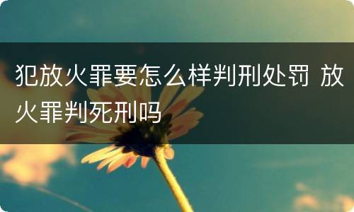 犯放火罪要怎么样判刑处罚 放火罪判死刑吗