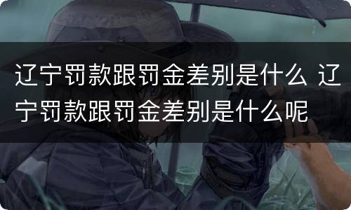 辽宁罚款跟罚金差别是什么 辽宁罚款跟罚金差别是什么呢
