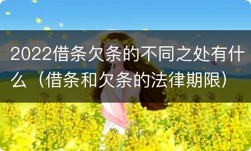 2022借条欠条的不同之处有什么（借条和欠条的法律期限）