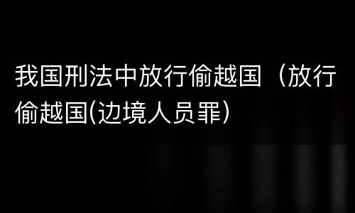 我国刑法中放行偷越国（放行偷越国(边境人员罪）
