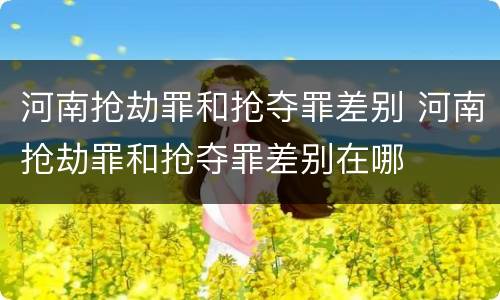 河南抢劫罪和抢夺罪差别 河南抢劫罪和抢夺罪差别在哪