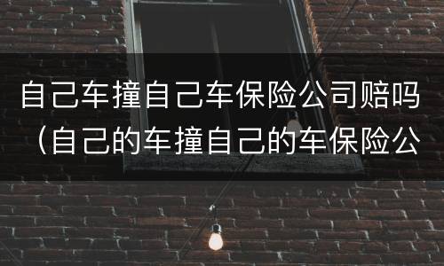 自己车撞自己车保险公司赔吗（自己的车撞自己的车保险公司赔吗）