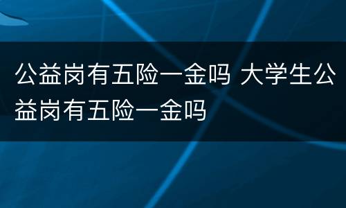 公益岗有五险一金吗 大学生公益岗有五险一金吗
