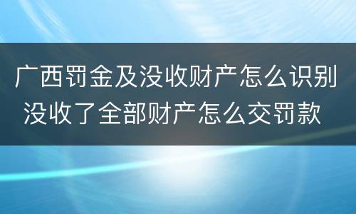 广西罚金及没收财产怎么识别 没收了全部财产怎么交罚款