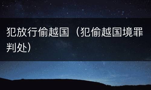 犯放行偷越国（犯偷越国境罪判处）