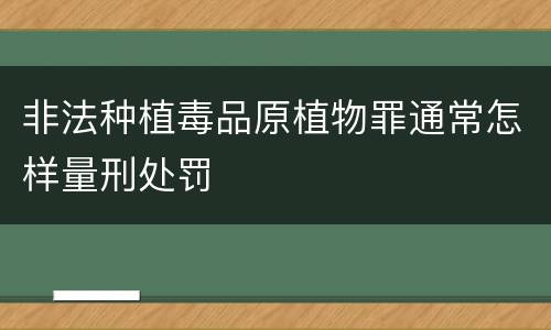 非法种植毒品原植物罪通常怎样量刑处罚