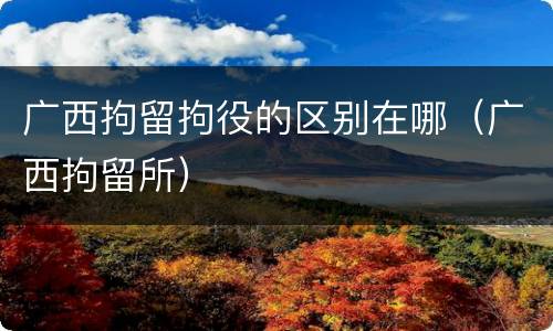 广西拘留拘役的区别在哪（广西拘留所）