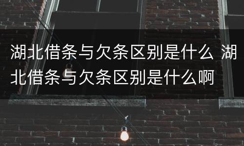 湖北借条与欠条区别是什么 湖北借条与欠条区别是什么啊 湖北借条与欠条区别是什么 湖北借条与欠条区别是什么啊