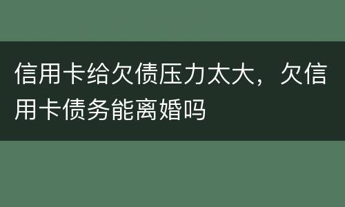 信用卡给欠债压力太大，欠信用卡债务能离婚吗