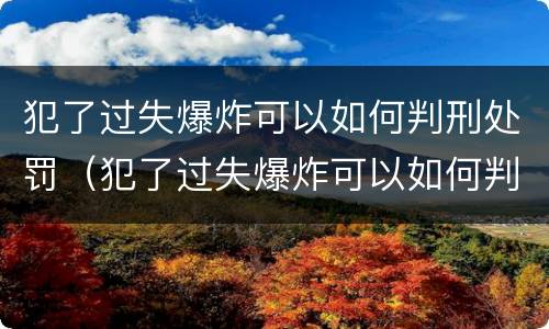犯了过失爆炸可以如何判刑处罚（犯了过失爆炸可以如何判刑处罚吗）