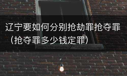 辽宁要如何分别抢劫罪抢夺罪（抢夺罪多少钱定罪）