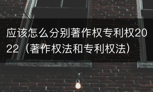 应该怎么分别著作权专利权2022（著作权法和专利权法）