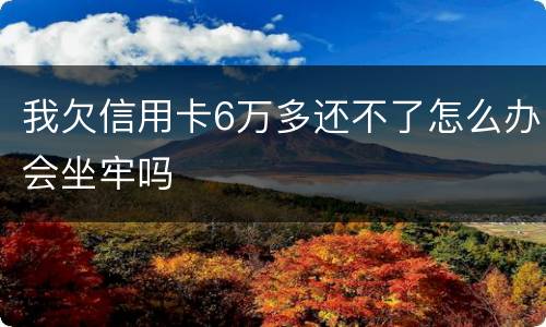 我欠信用卡6万多还不了怎么办会坐牢吗