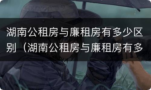 湖南公租房与廉租房有多少区别（湖南公租房与廉租房有多少区别在哪里）