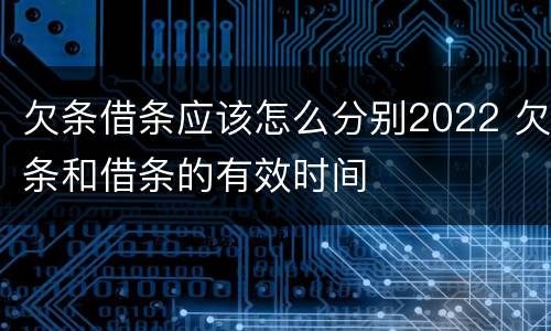 欠条借条应该怎么分别2022 欠条和借条的有效时间
